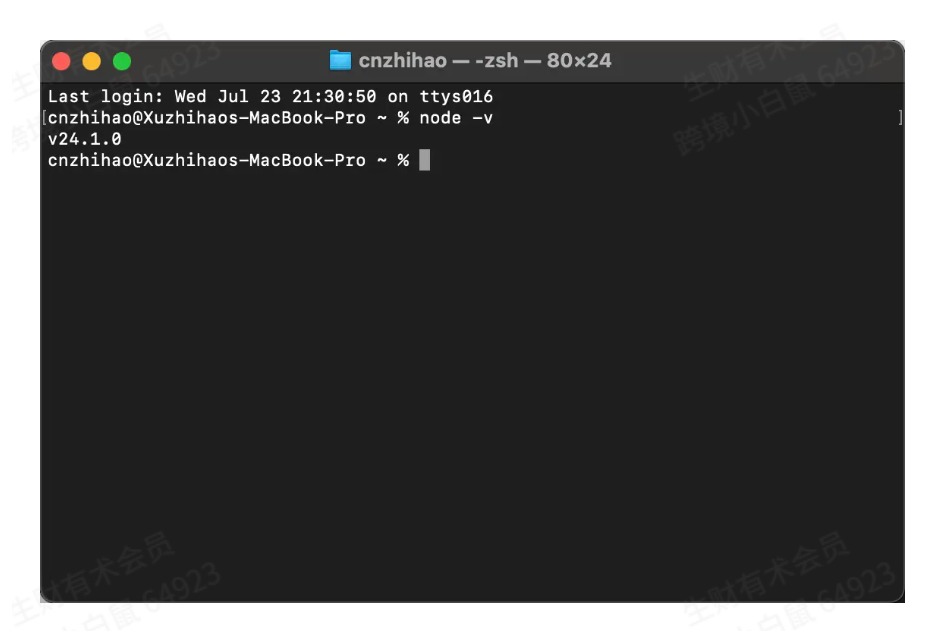 检查 Node.js 是否安装成功