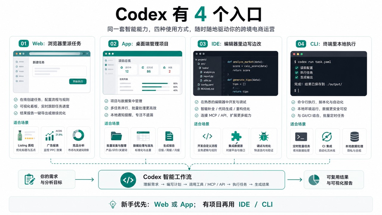 Codex 四个入口