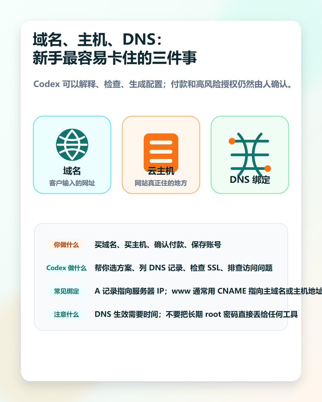 域名主机 DNS 绑定